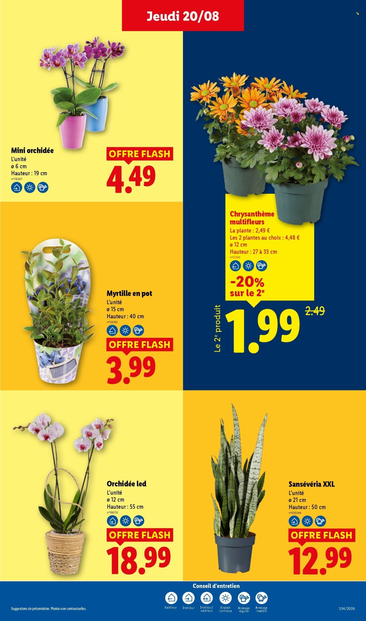 Catalogue LIDL - Les promos de la semaine