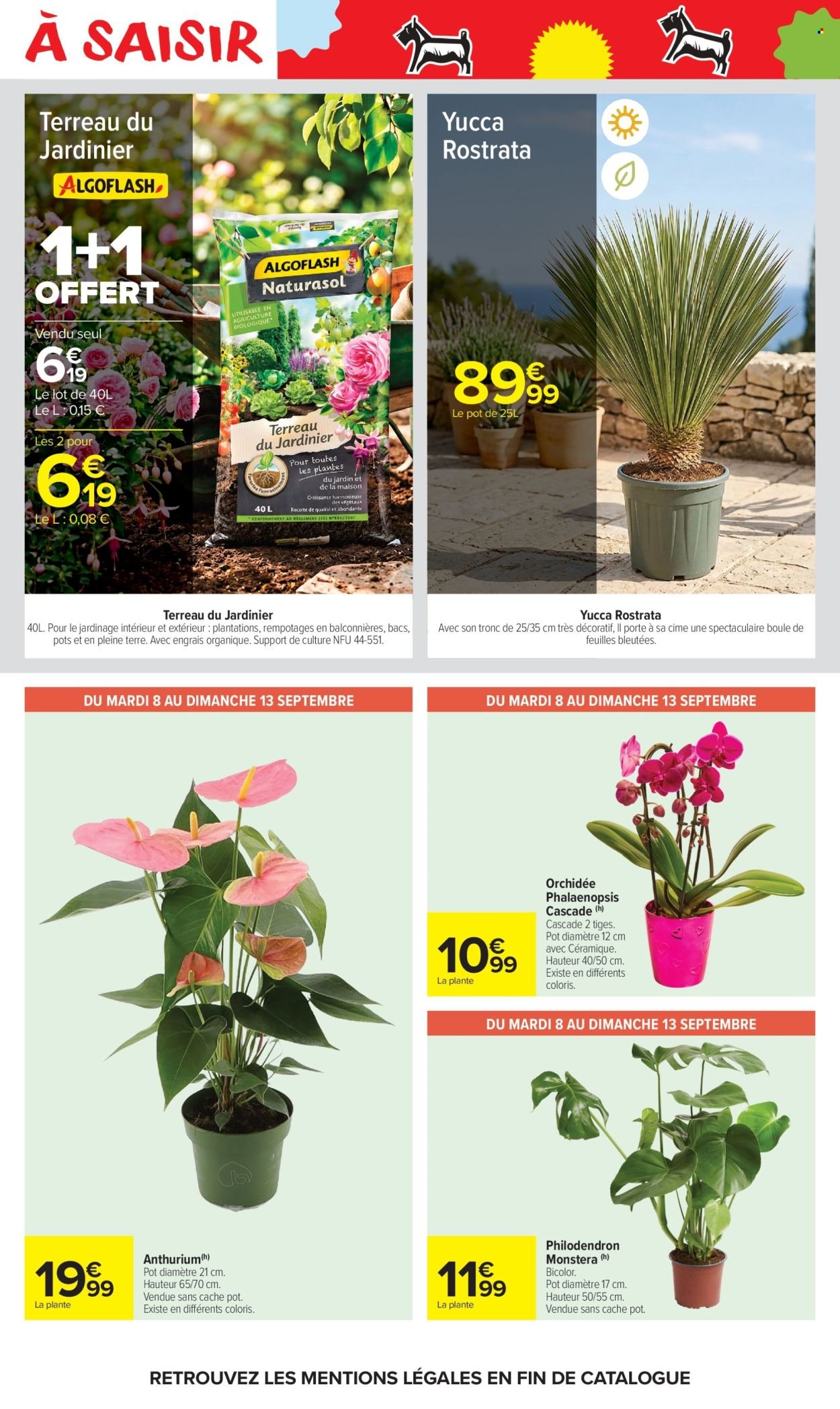Catalogue CARREFOUR MARKET - LE MOIS MONOPOLY