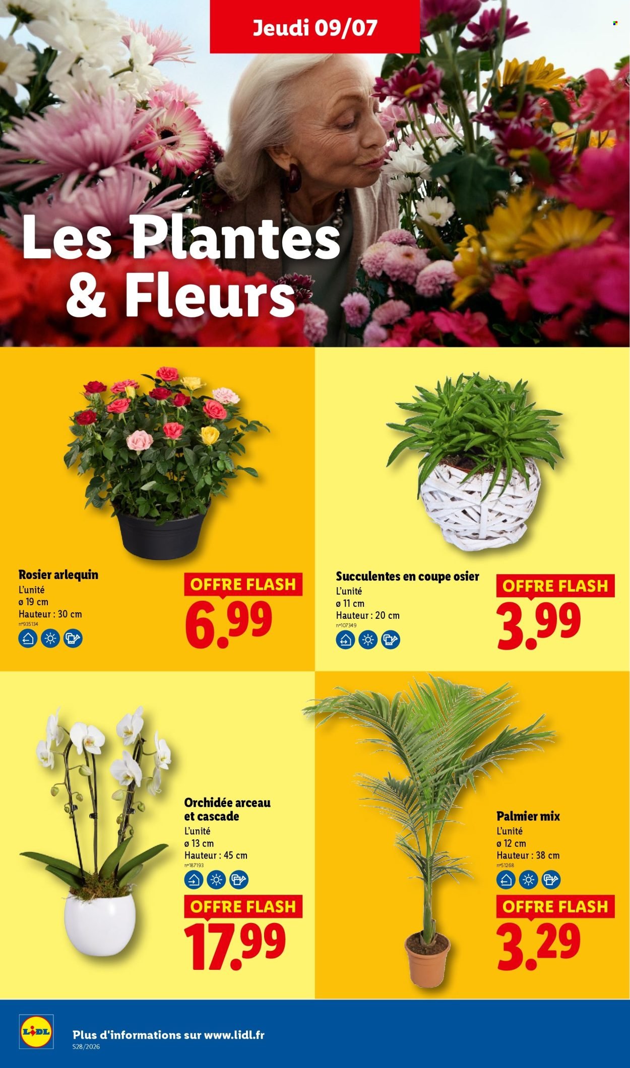 Catalogue LIDL - Les promos de la semaine
