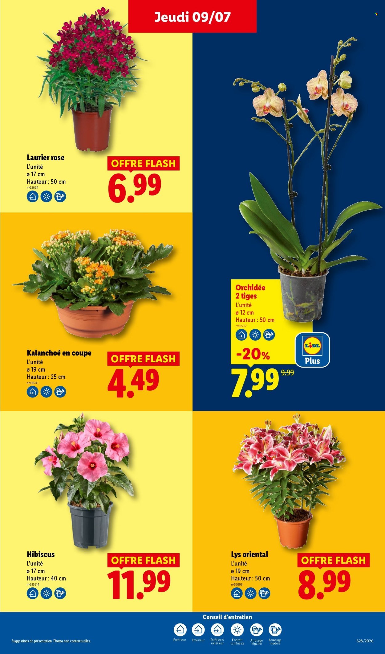 Catalogue LIDL - Les promos de la semaine
