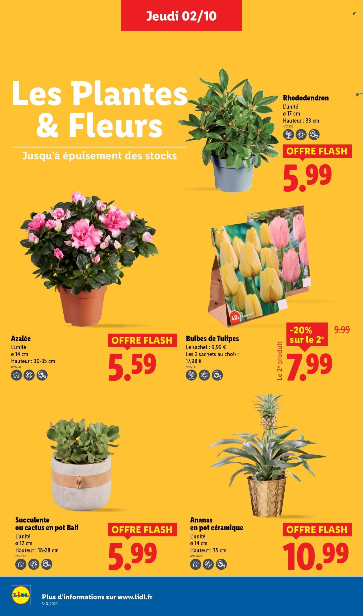 Catalogue LIDL - Les promos de la semaine (2025-10-02 - 2025-10-08)