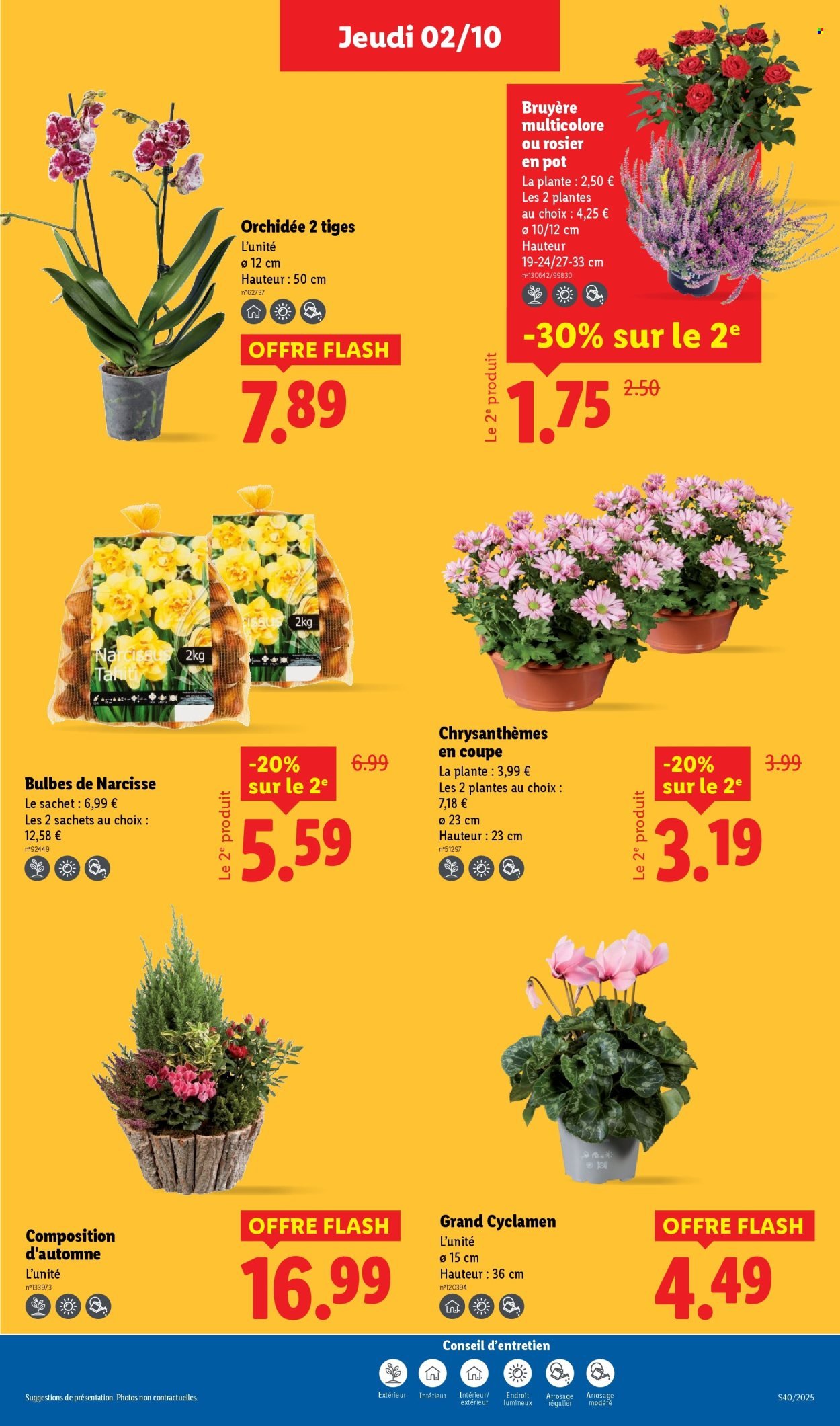 Catalogue LIDL - Les promos de la semaine (2025-10-02 - 2025-10-08)
