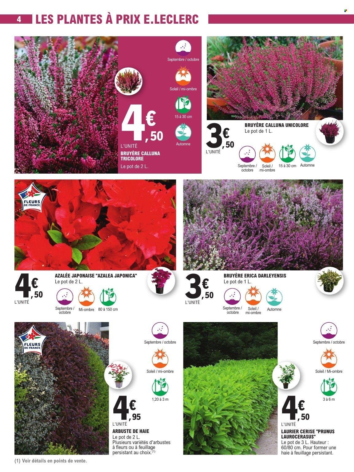 Catalogue E.LECLERC - JARDIN D'AUTOMNE BRICO CHAUFFAGE