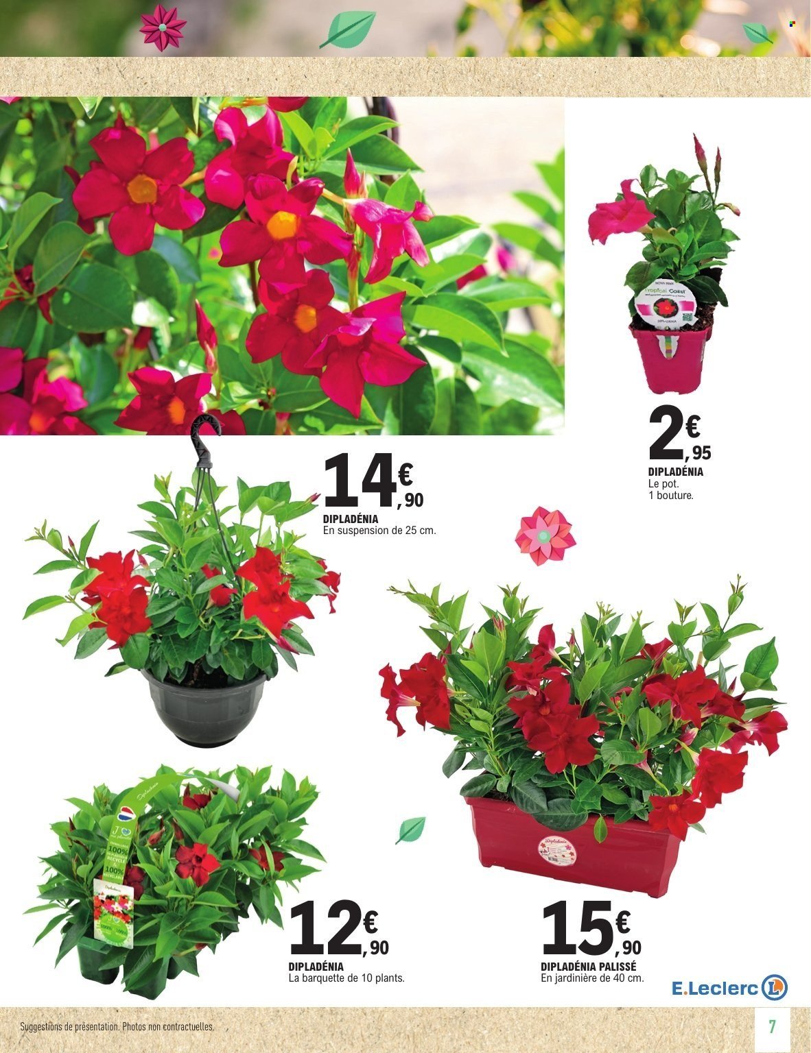 Catalogue E.LECLERC - NON ALIMENTAIRE