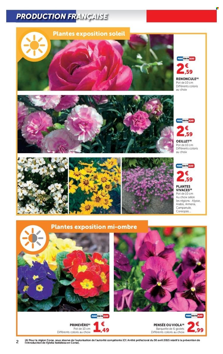 Catalogue SUPER U - Le jardin à prix bas