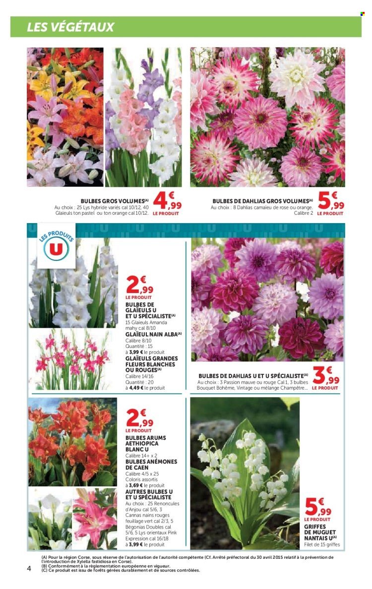 Catalogue SUPER U - Le jardin à prix bas