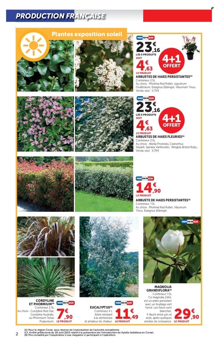 Catalogue SUPER U - Le jardin à prix bas