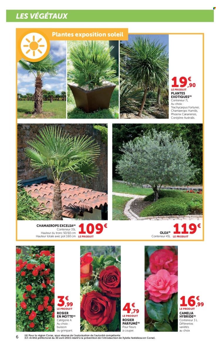 Catalogue SUPER U - Le jardin à prix bas