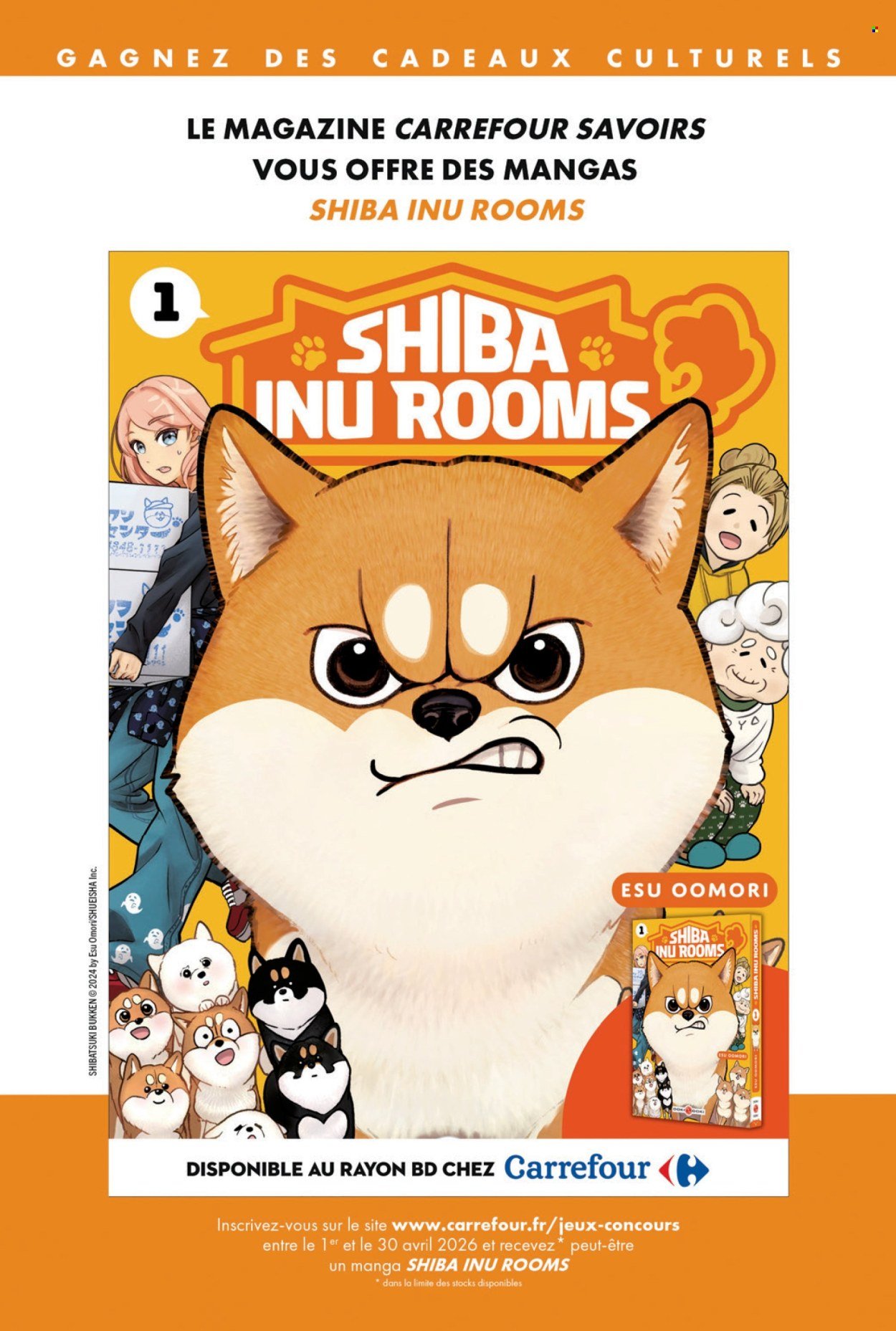 Catalogue CARREFOUR - A CHACUN SA CULTURE