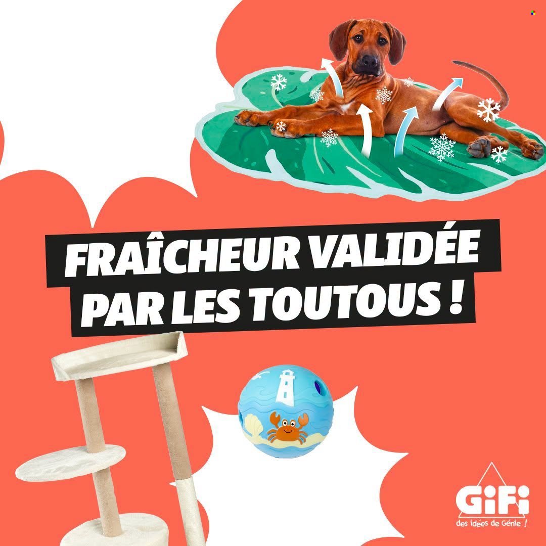 Catalogue GIFI - Juin 2026
