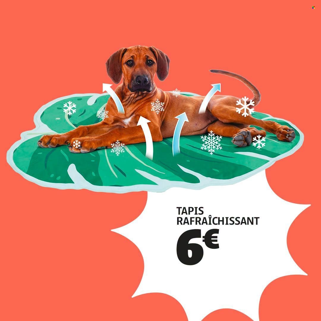 Catalogue GIFI - Juin 2026