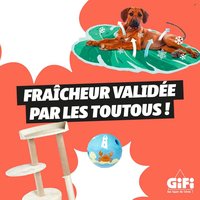 Catalogue GIFI - Juin 2026