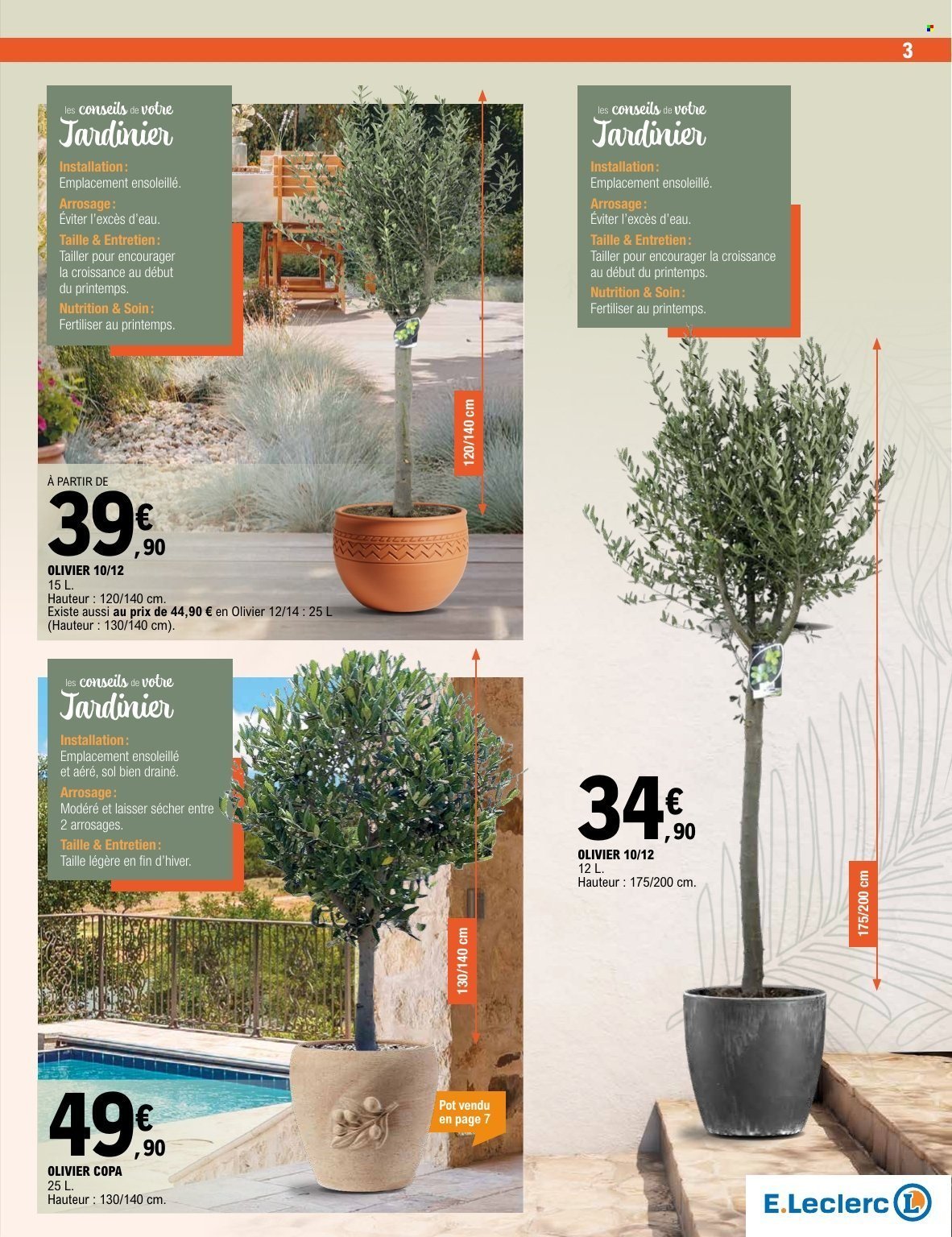 Catalogue E.LECLERC - PLANTES MEDITERRANEENNES