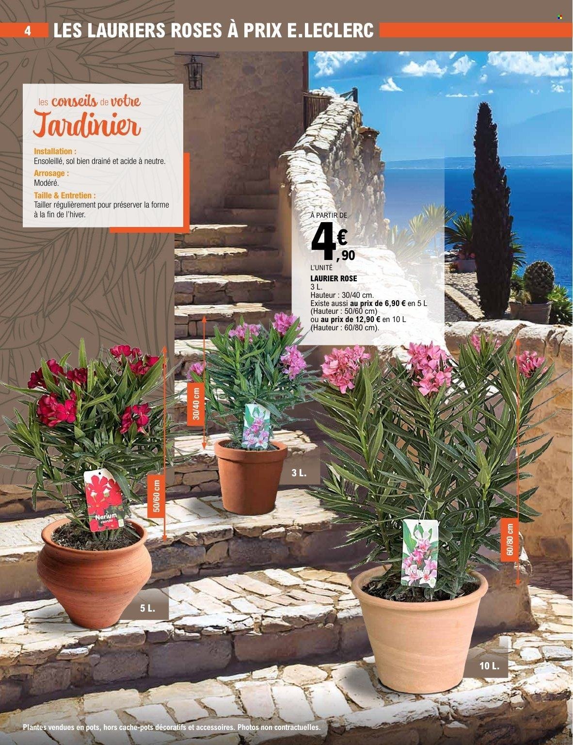 Catalogue E.LECLERC - PLANTES MEDITERRANEENNES