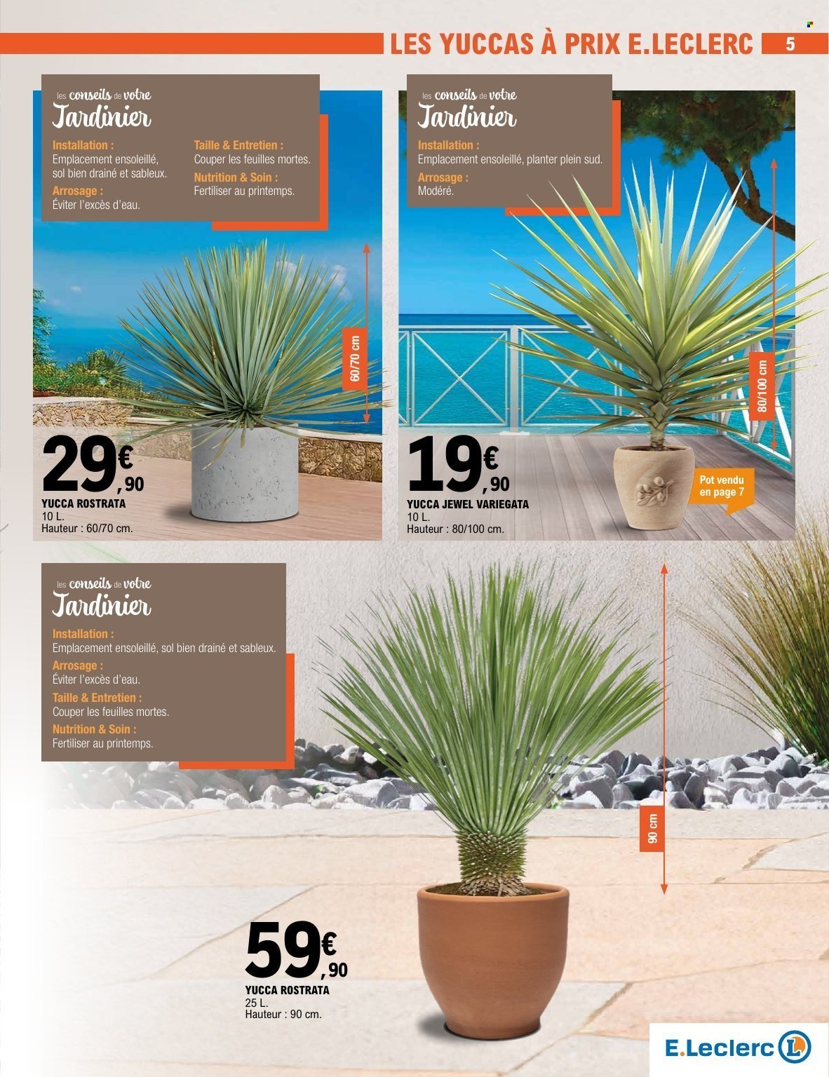 Catalogue E.LECLERC - PLANTES MEDITERRANEENNES (2026-04-28 - 2026-05-09)