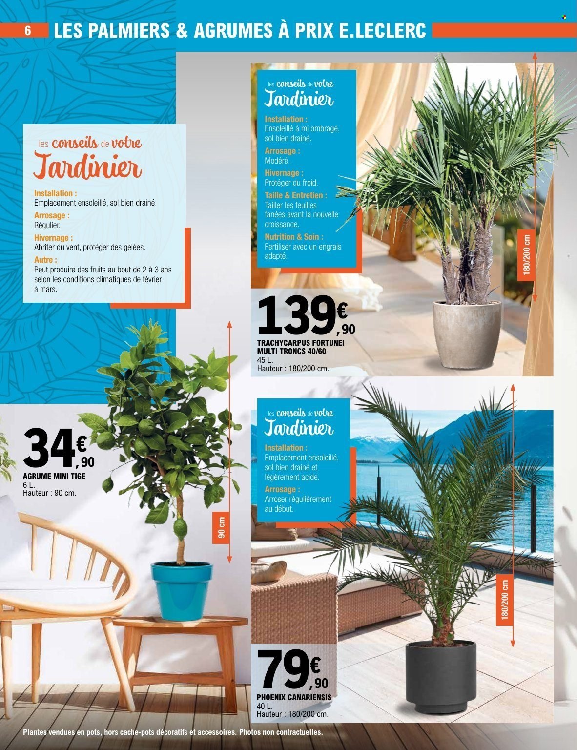 Catalogue E.LECLERC - PLANTES MEDITERRANEENNES