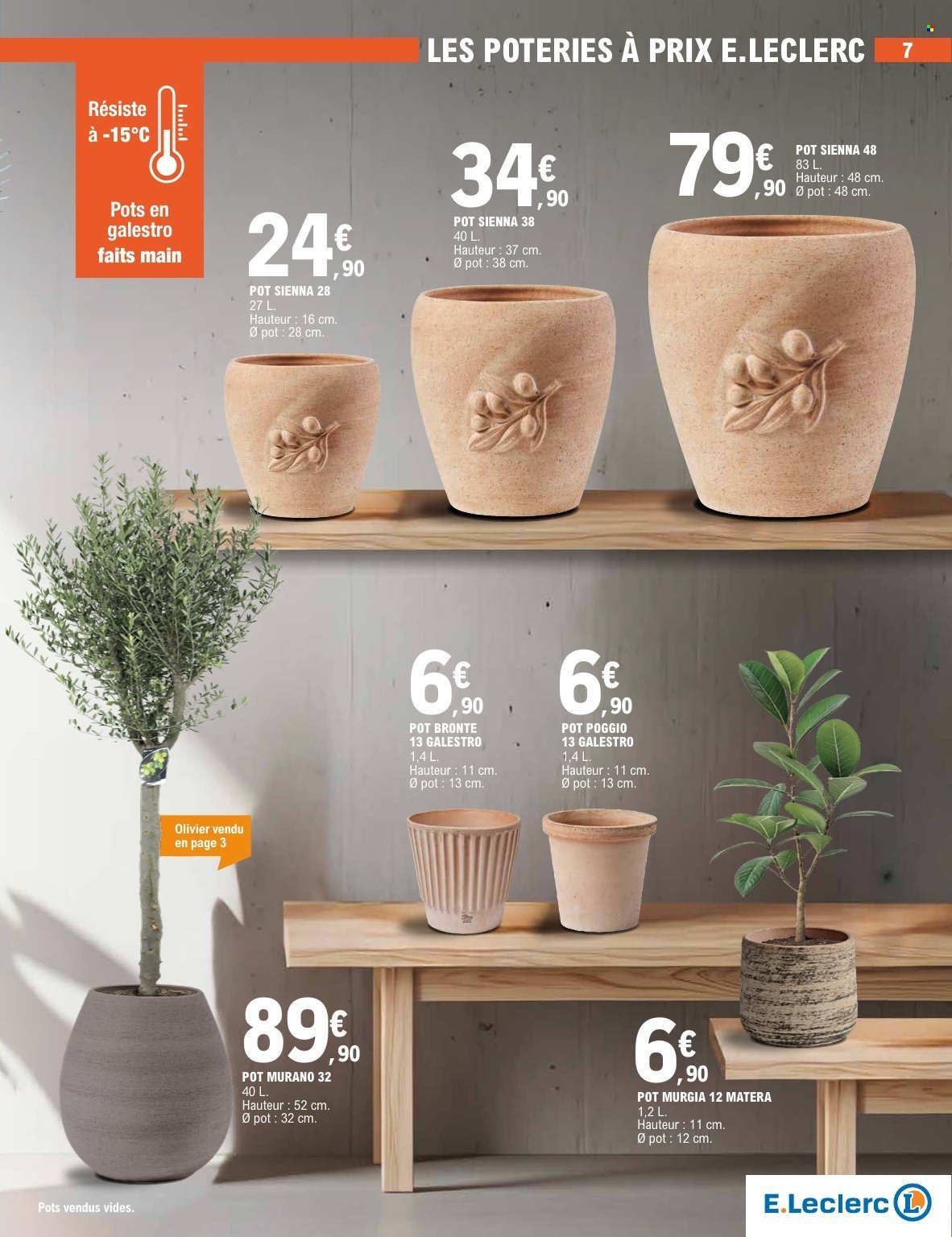 Catalogue E.LECLERC - PLANTES MEDITERRANEENNES