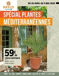Catalogue E.LECLERC - PLANTES MEDITERRANEENNES