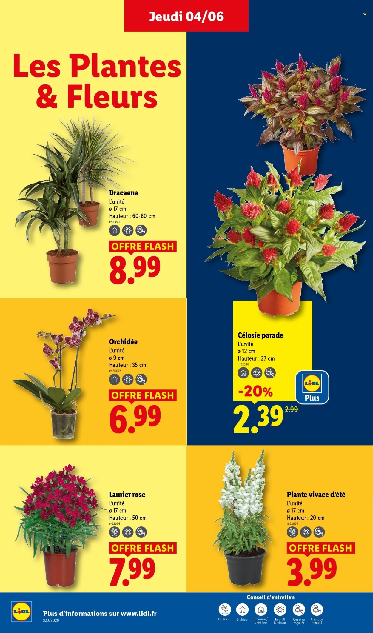 Catalogue LIDL - Les promos de la semaine (2026-06-04 - 2026-06-10)