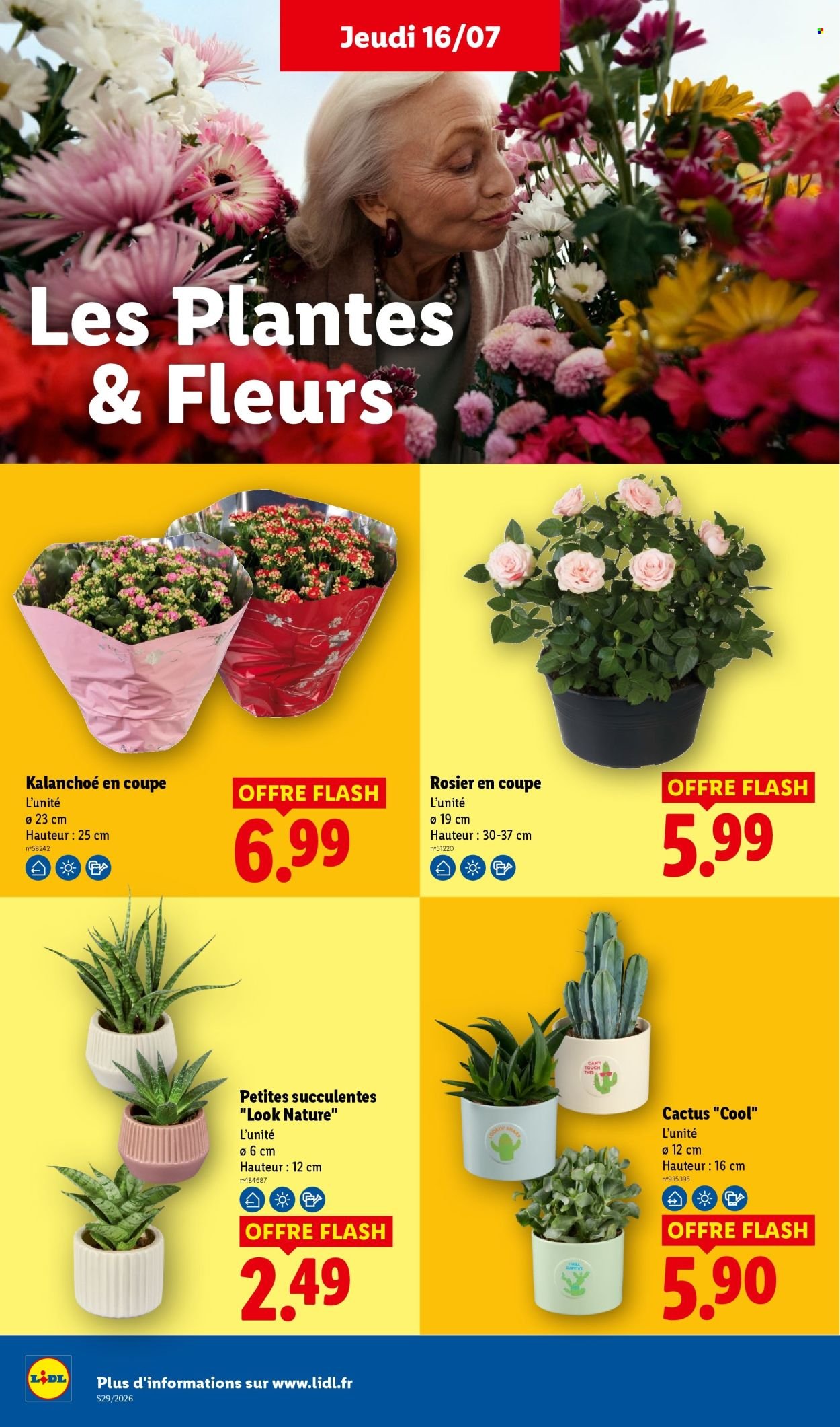 Catalogue LIDL - Les promos de la semaine