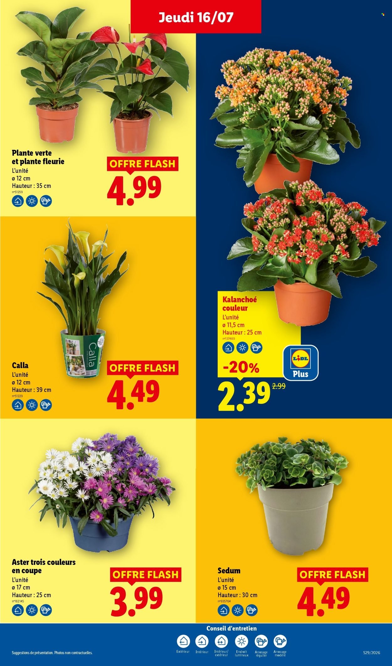 Catalogue LIDL - Les promos de la semaine
