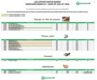 Catalogue PROMOCASH - Offre marée