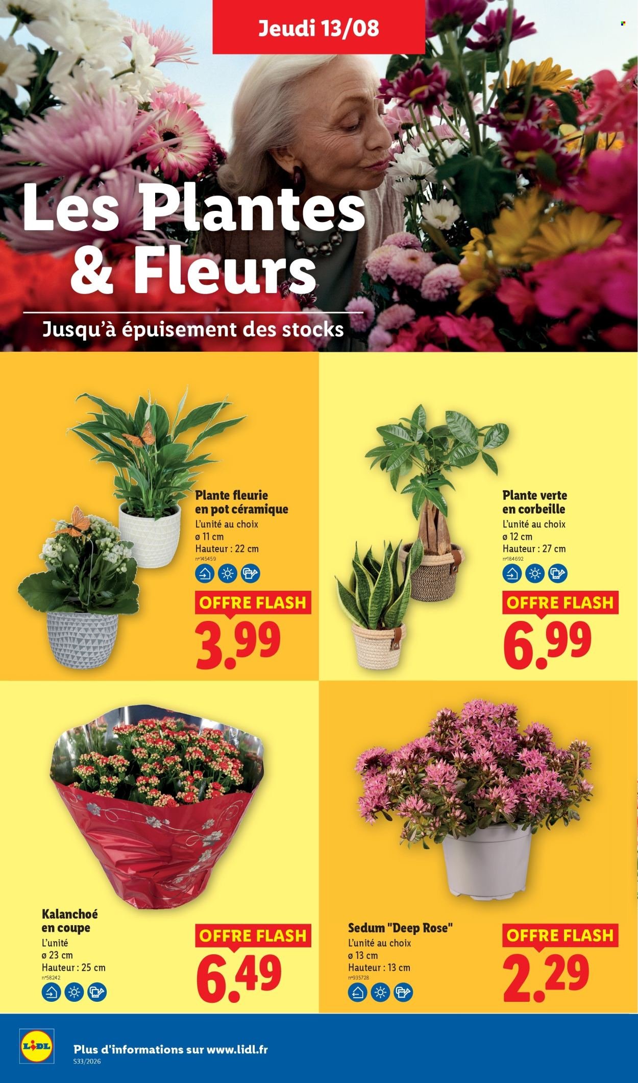 Catalogue LIDL - Les promos de la semaine