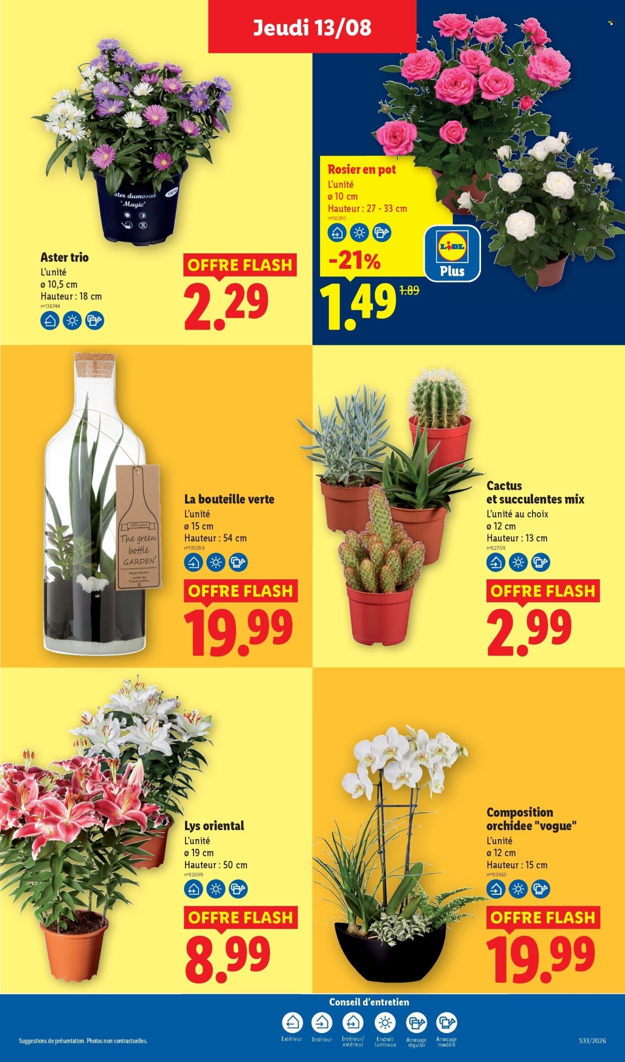 Catalogue LIDL - Les promos de la semaine