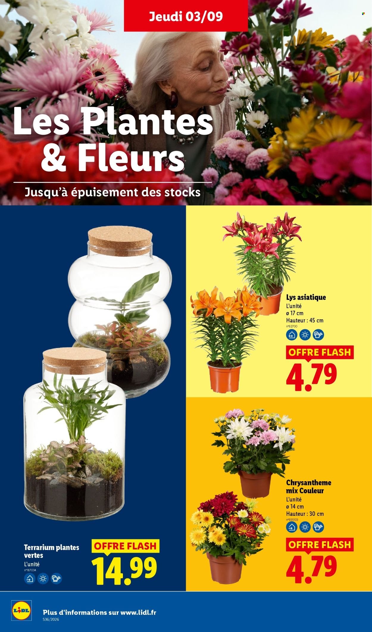 Catalogue LIDL - Les promos de la semaine