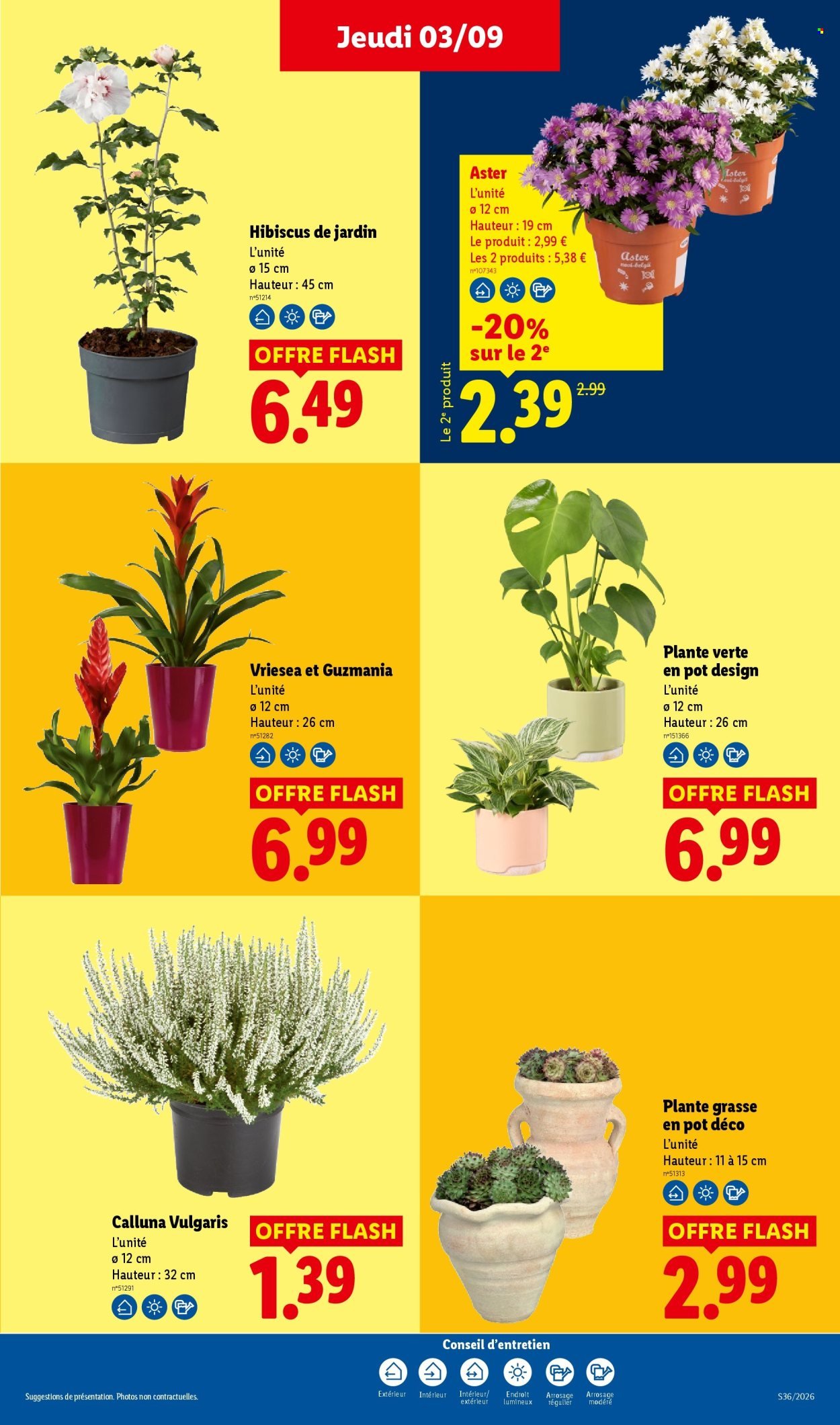 Catalogue LIDL - Les promos de la semaine