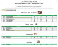 Catalogue PROMOCASH - Offre marée