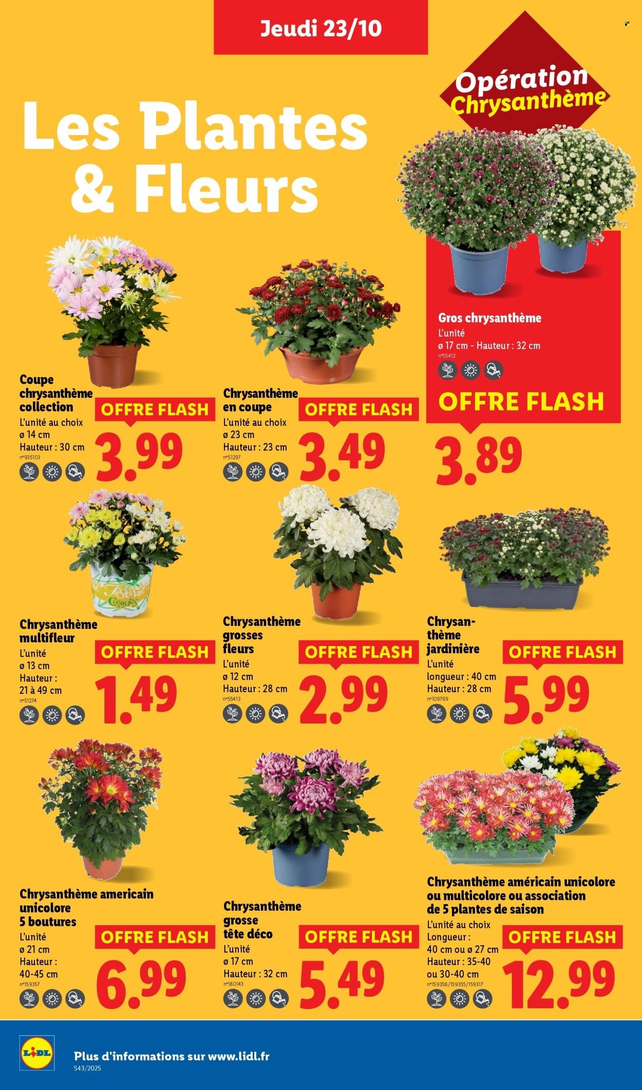 Catalogue LIDL - Les promos de la semaine (2025-10-23 - 2025-10-29)
