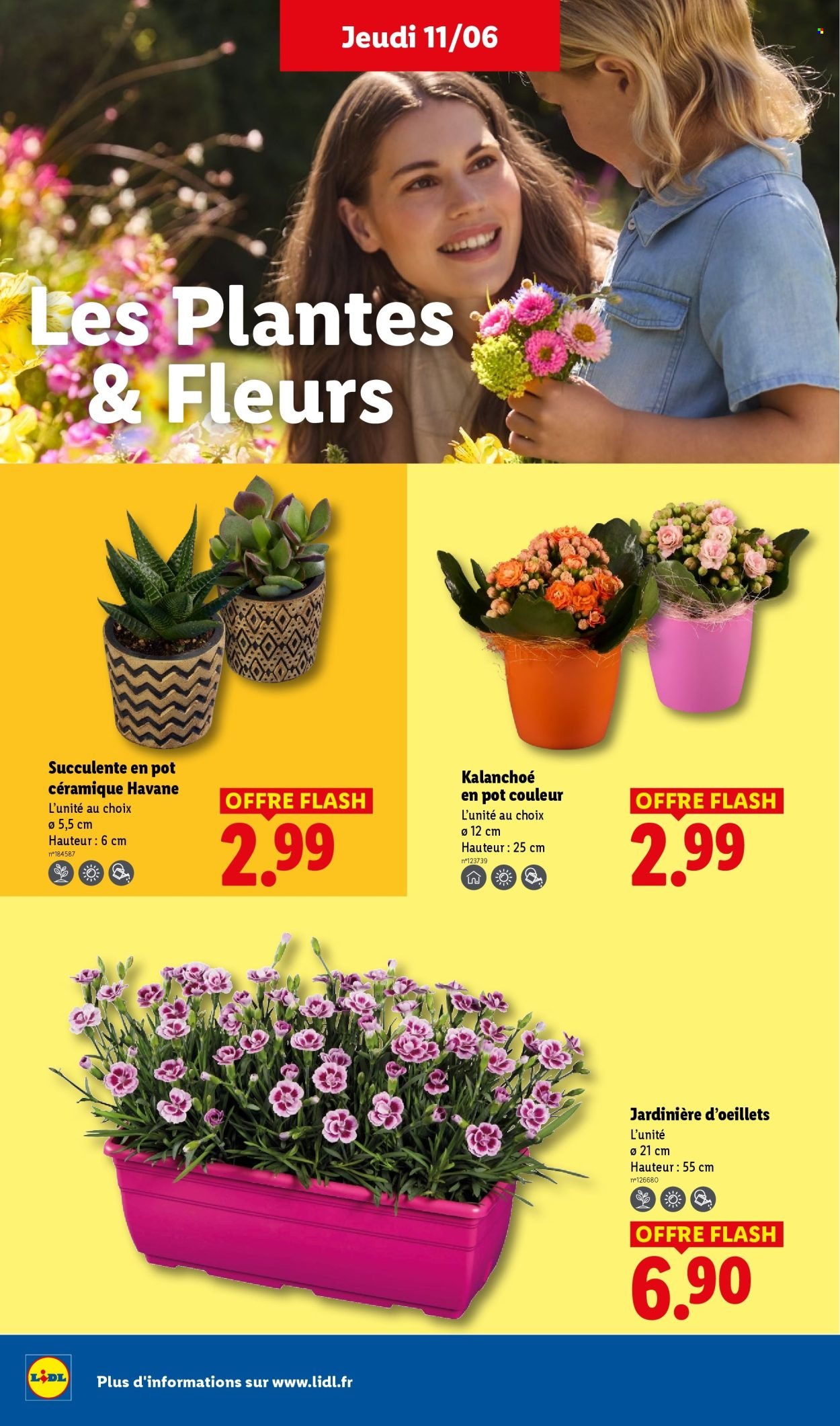 Catalogue LIDL - Les promos de la semaine
