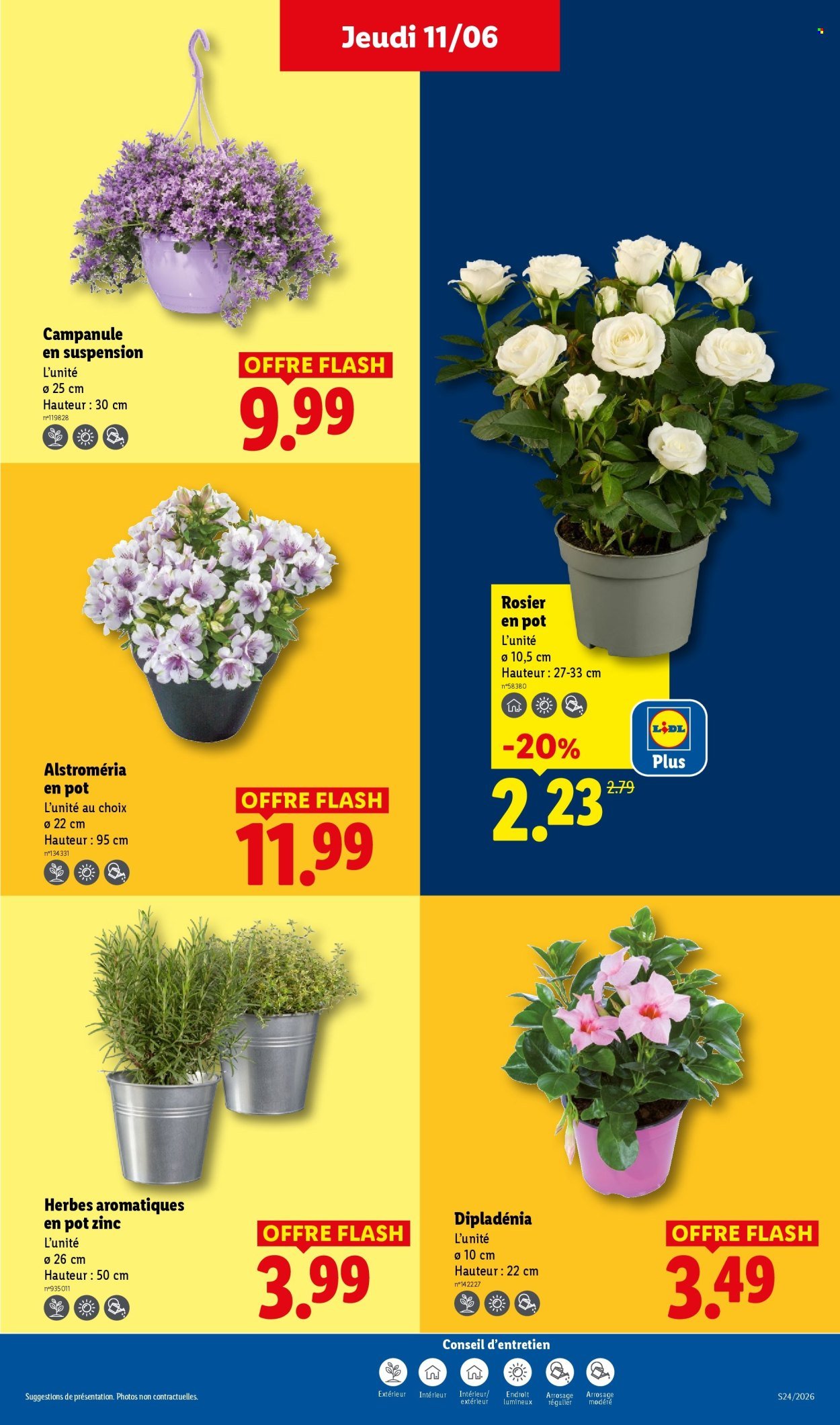 Catalogue LIDL - Les promos de la semaine