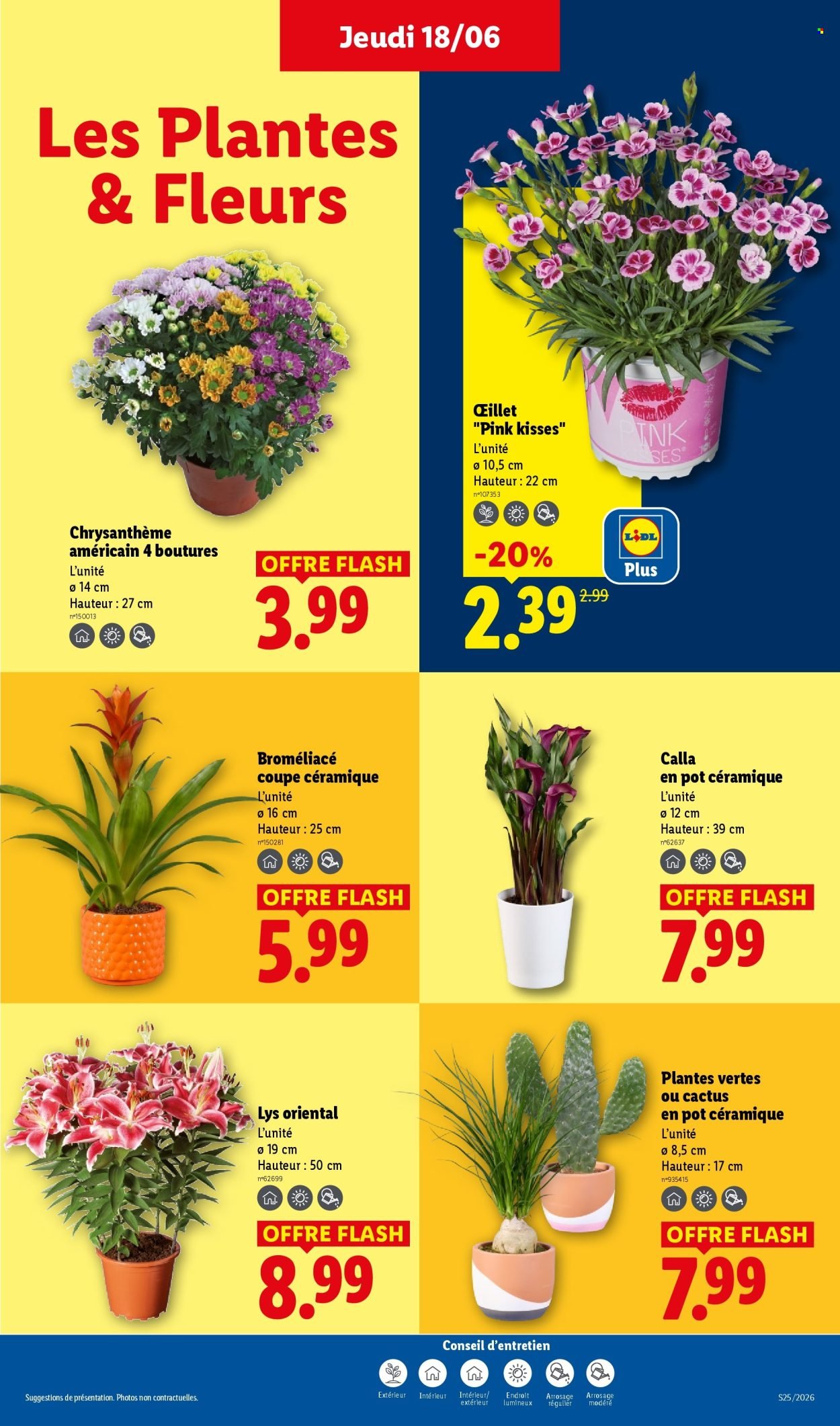 Catalogue LIDL - Les promos de la semaine