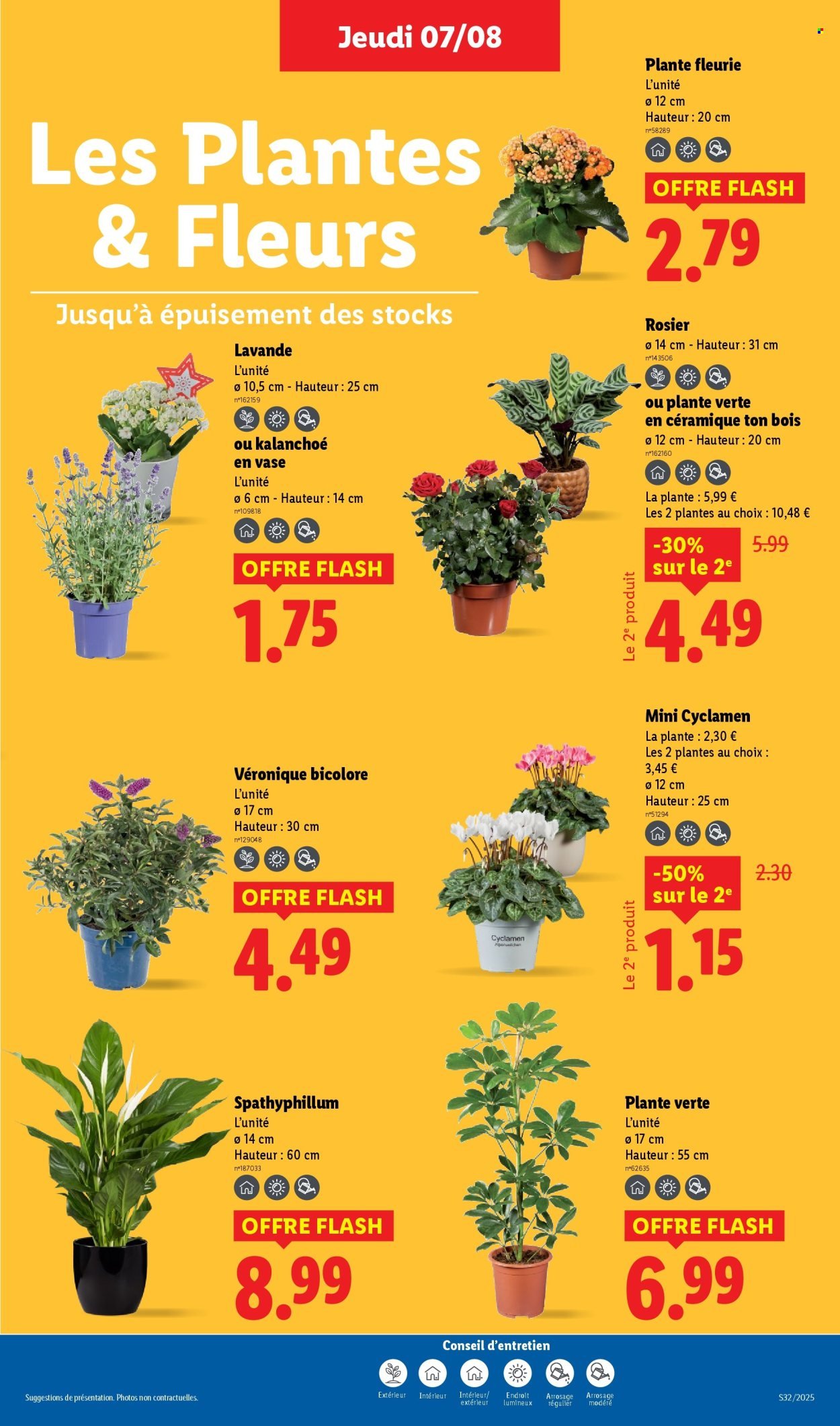 Catalogue LIDL - Les promos de la semaine (2025-08-07 - 2025-08-13)