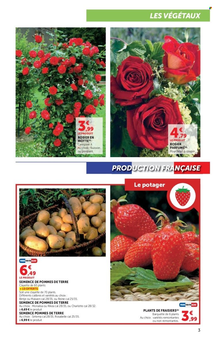 Catalogue SUPER U - Le jardin à prix bas