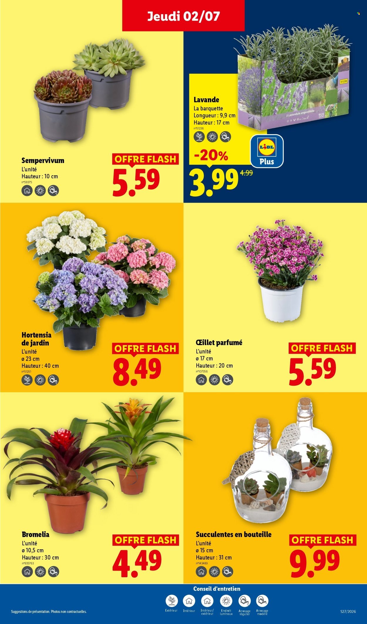 Catalogue LIDL - Les promos de la semaine