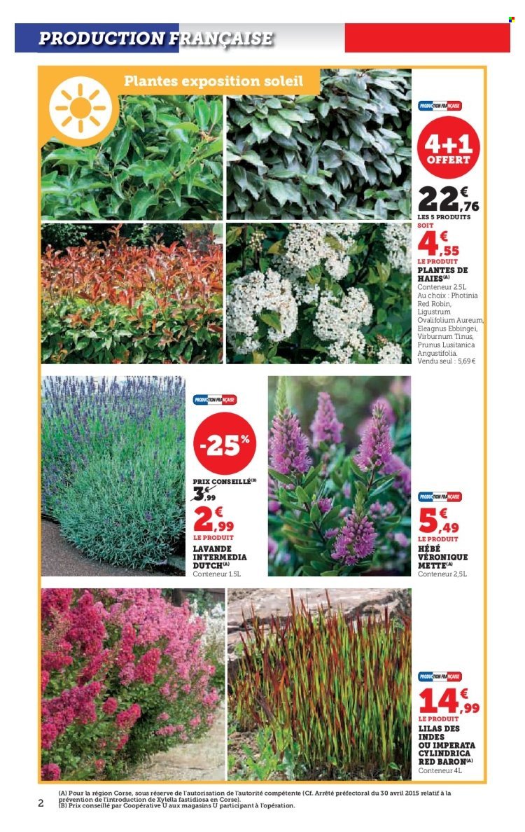 Catalogue HYPER U - Jardin d'automne à prix bas (2025-09-23 - 2025-10-05)