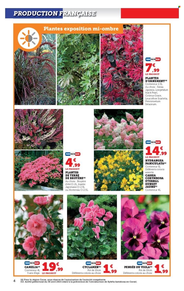 Catalogue HYPER U - Jardin d'automne à prix bas (2025-09-23 - 2025-10-05)