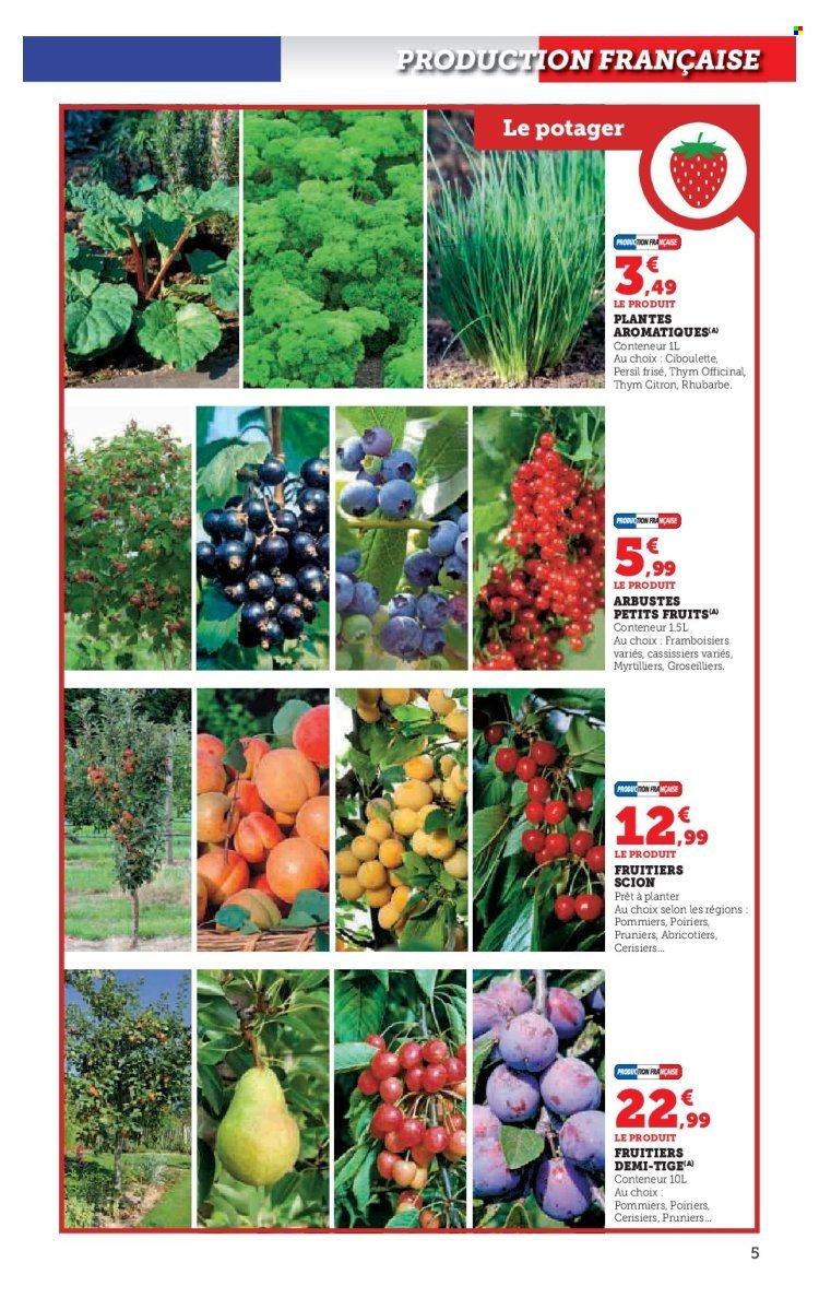 Catalogue HYPER U - Jardin d'automne à prix bas (2025-09-23 - 2025-10-05)