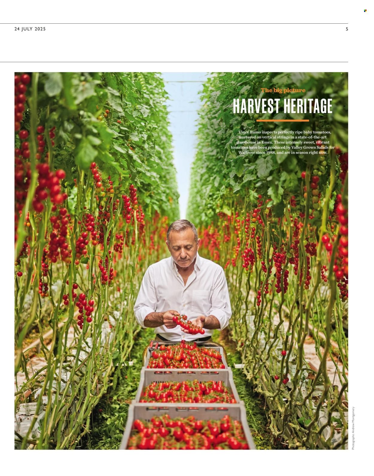 WAITROSE offer - From 24 Jul 2025 (2025-07-24 - 2025-08-12) | 5