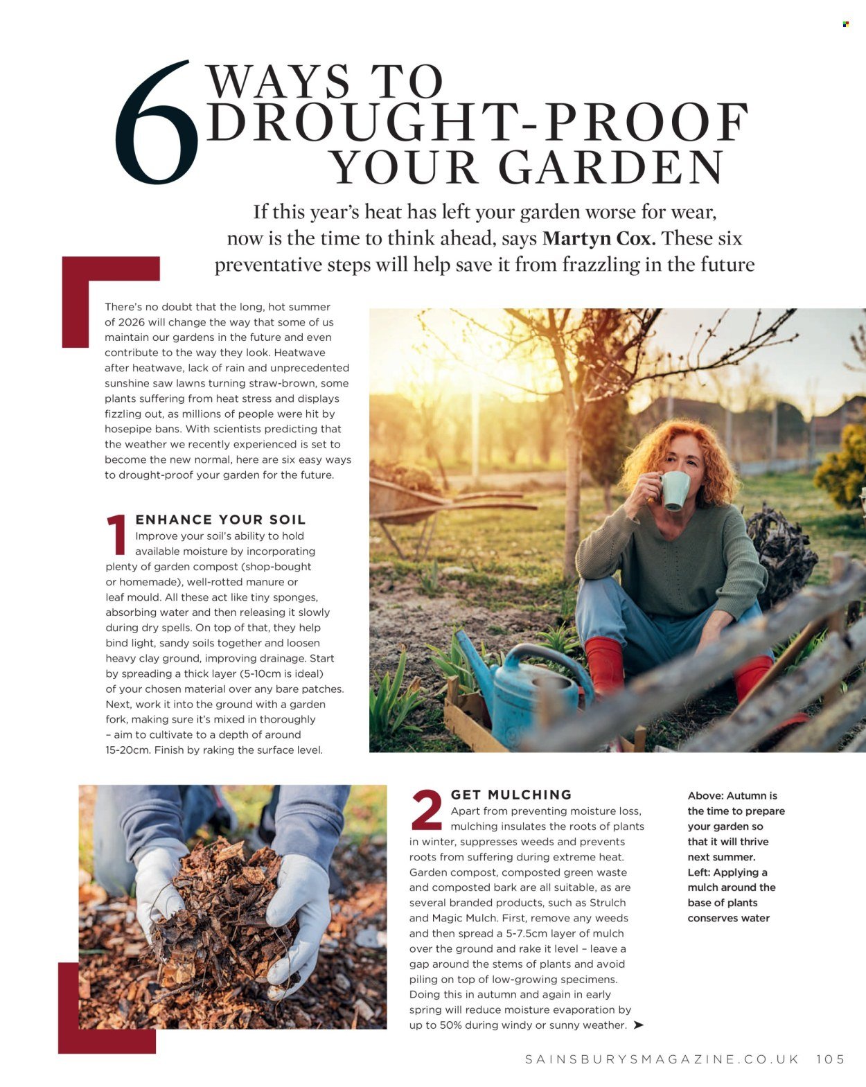 SAINSBURY'S offer - Magazine