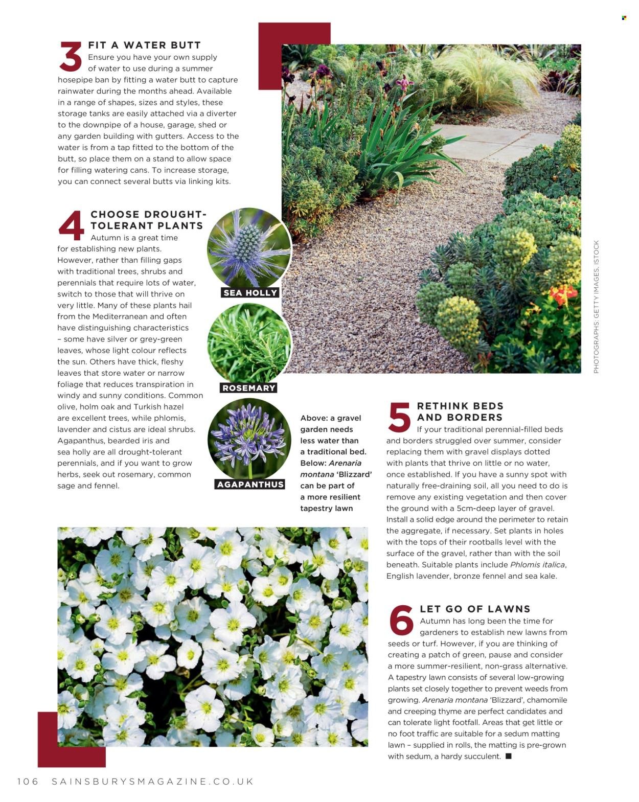 SAINSBURY'S offer - Magazine