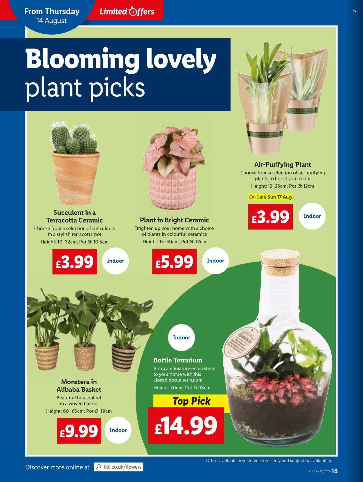 LIDL offer - Local Weekly Leaflet (2025-08-14 - 2025-08-20) | 18