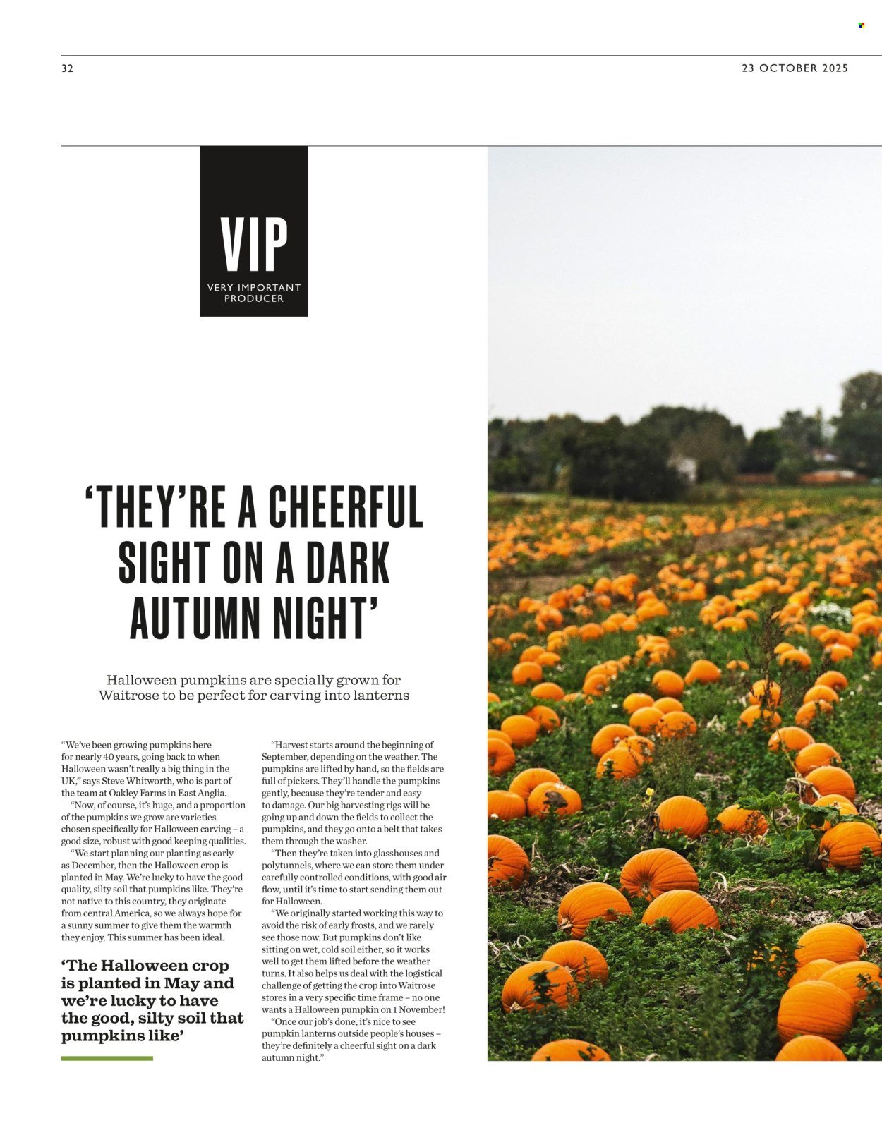 WAITROSE offer - Weekend (2025-10-31) | 32