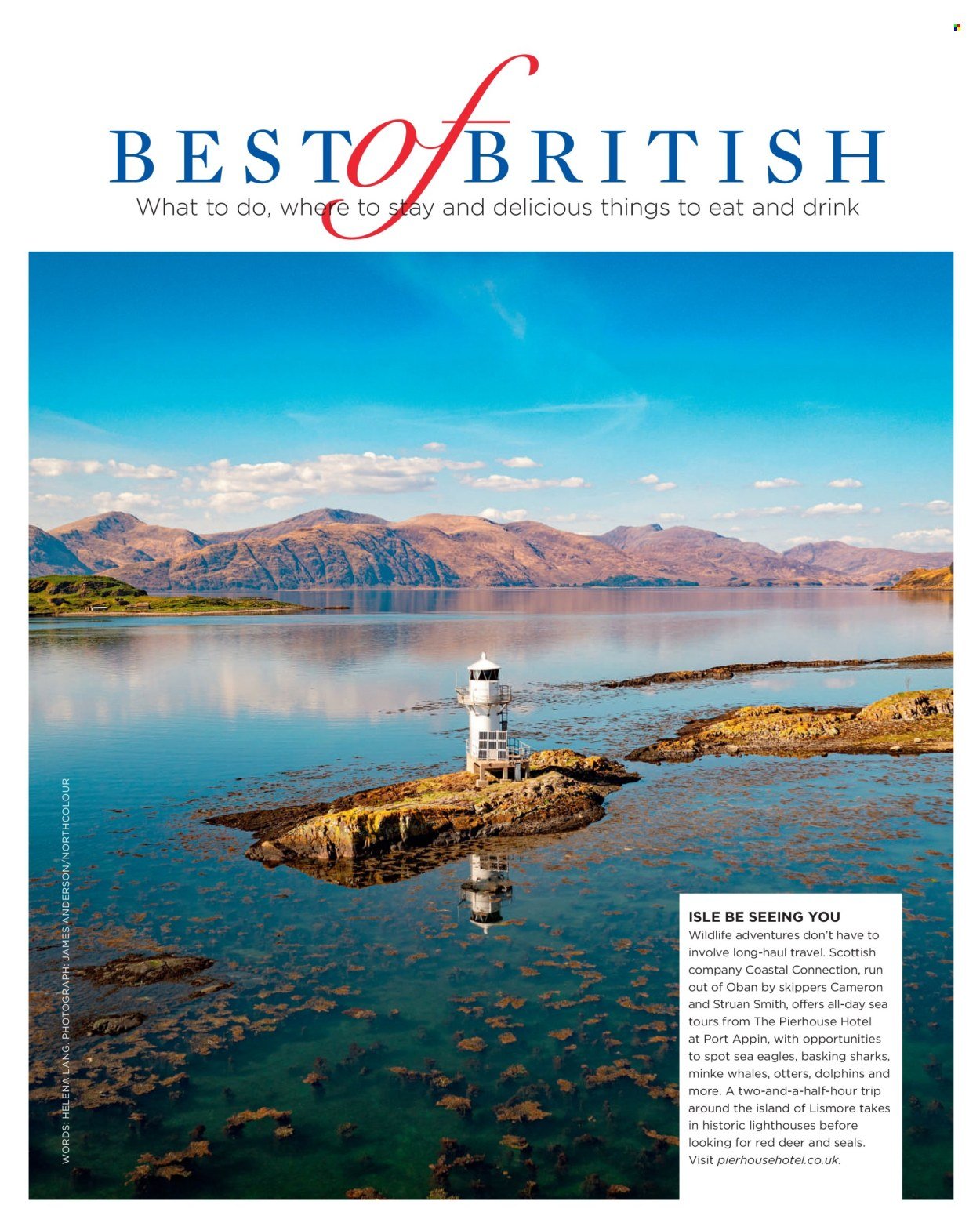 SAINSBURY'S offer - Magazine