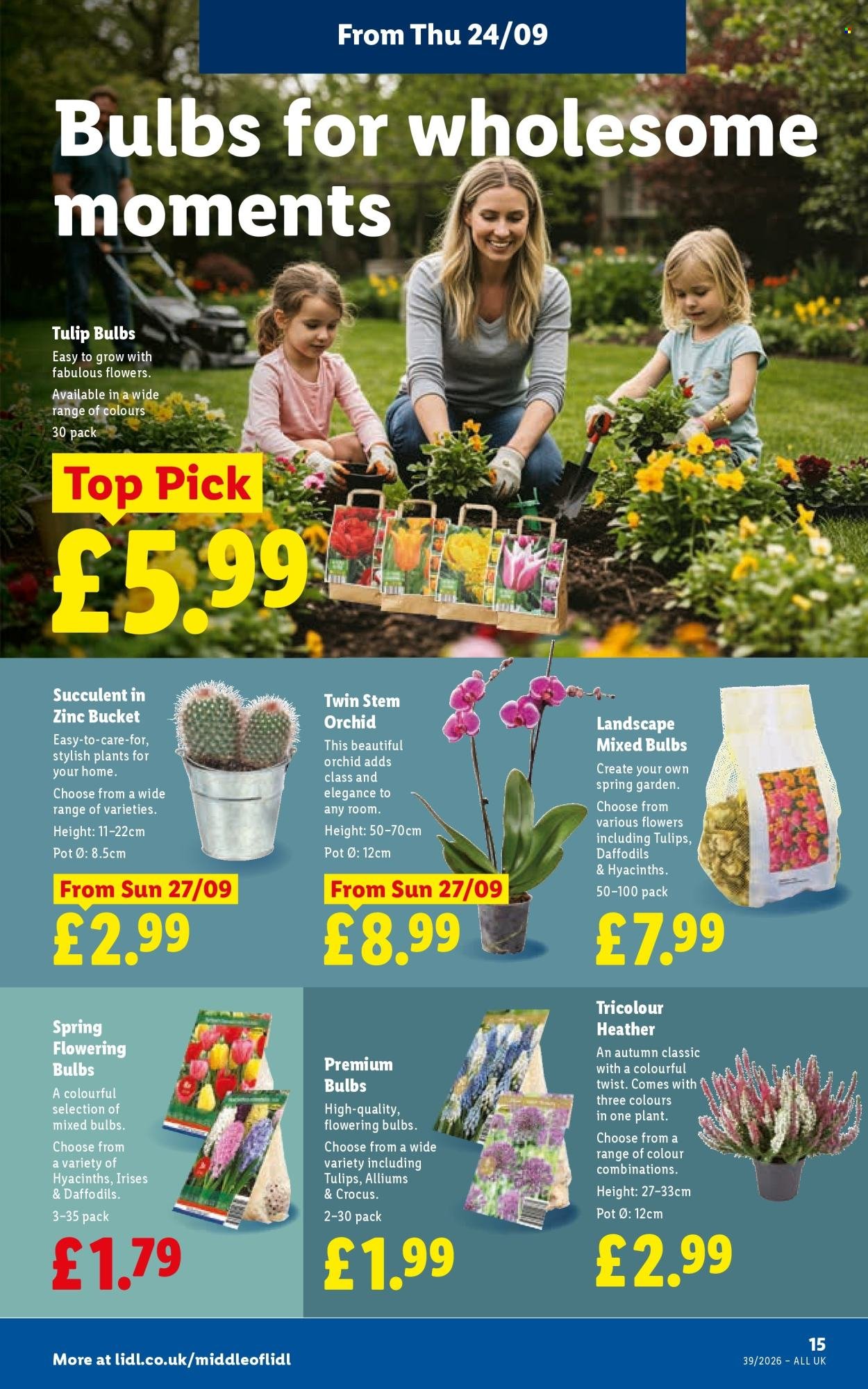LIDL offer - Local Weekly Leaflet