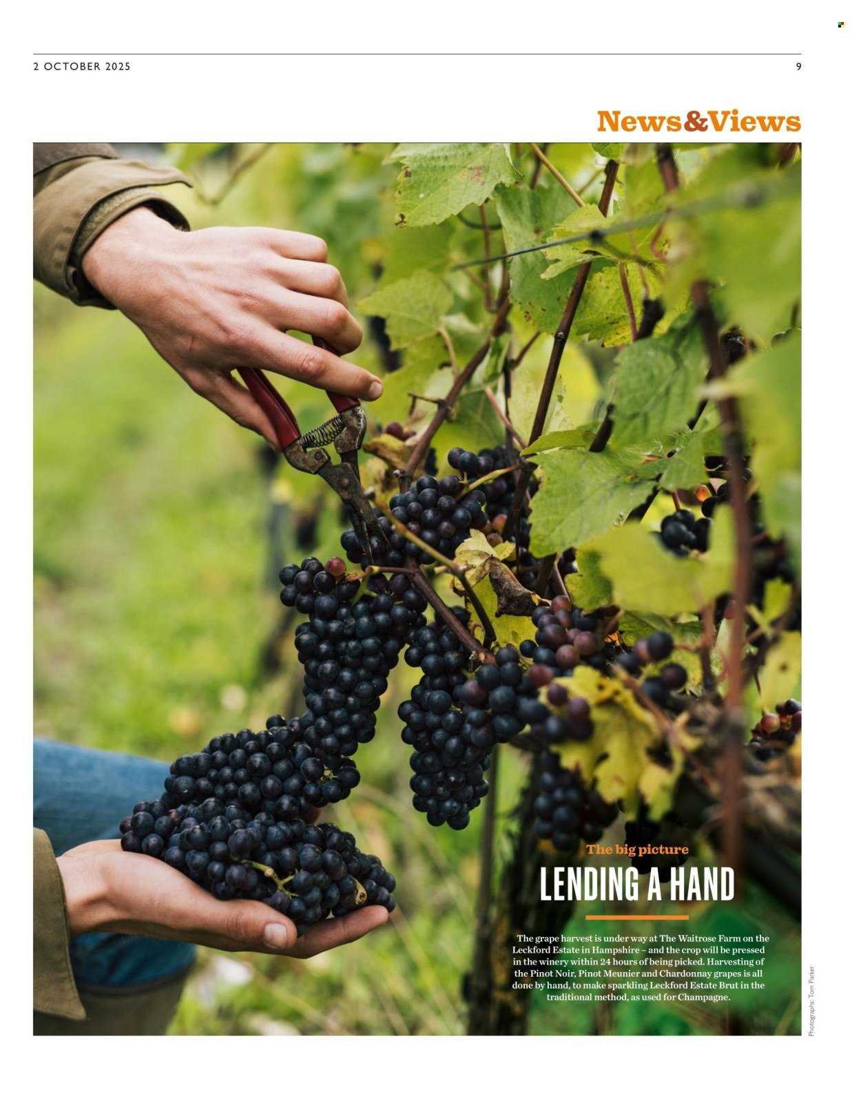 WAITROSE offer - Weekend (2025-10-01) | 9