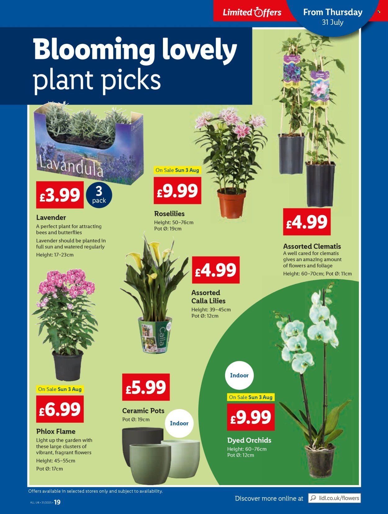 LIDL offer - Local Weekly Leaflet (2025-07-31 - 2025-08-06) | 19
